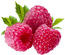 Home - Raspberries