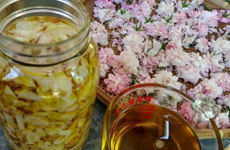 Crafting Beauty: A DIY Tutorial on Making Vining Rose Petal Infused Raspberry Seed Oil